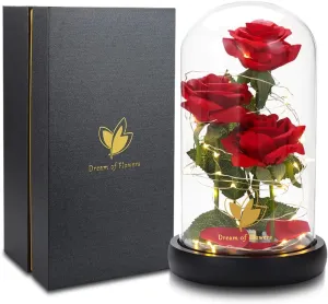 Beauty and The Beast Rose, Classic Red Rose with LED Lights and Falling Petals, Gifts for Women, Birthday Gifts for Mom, Light Up Rose in Glass Dome, Flower Gifts for her