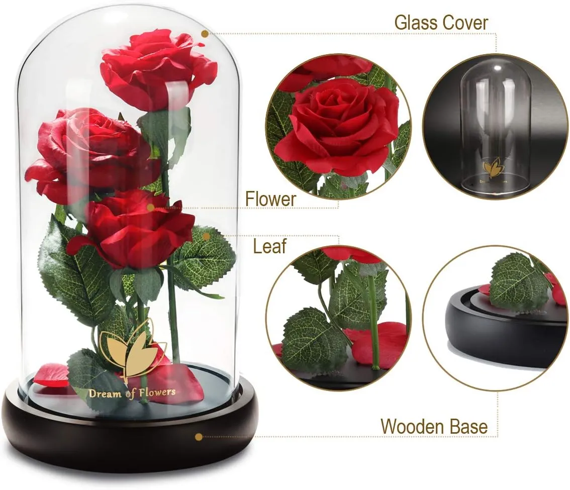 Beauty and The Beast Rose, Classic Red Rose with LED Lights and Falling Petals, Gifts for Women, Birthday Gifts for Mom, Light Up Rose in Glass Dome, Flower Gifts for her