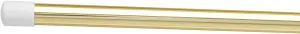 DSI 6' (Gold) Aluminum Color Guard Flag Pole by Director's Showcase